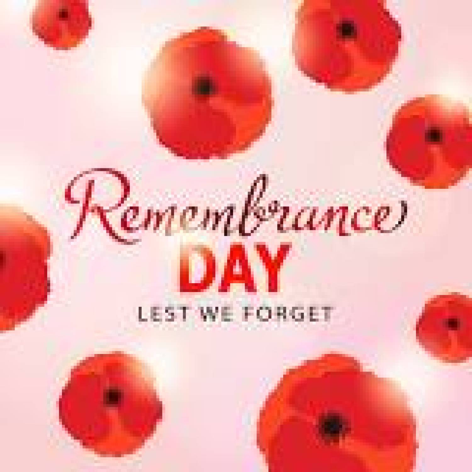 Statutory Holiday in Lieu Of Remembrance Day Monday November 13th statutory-holiday-in-lieu-of-remembrance-day-monday-november-13th