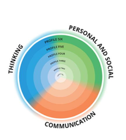 Imbedding the Core Competencies into daily Learning